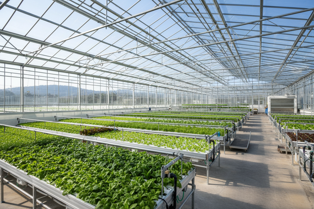 Banner image for: <h2>Greenhouses</h2>