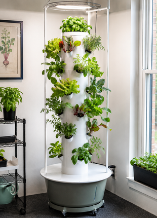 GrowCore Manitou Hydroponic Tower