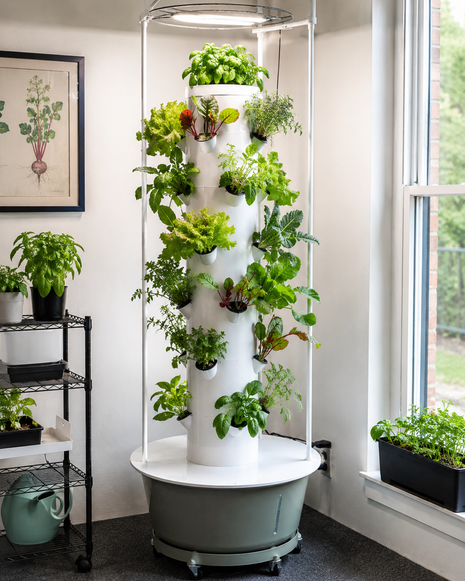 GrowCore Manitou Hydroponic Tower
