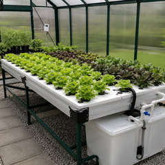 Collection image for: Hydroponics